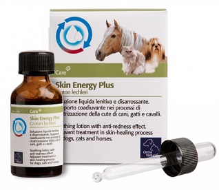 AKIN ENERGY PLUS CROTON 20 ML - goldeneffe.it