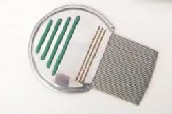 PETTINE ACCIAIO PER RIMOZIONE PIDOCCHI - goldeneffe.it