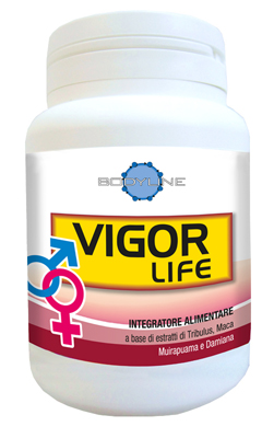 VIGOR LIFE 40 CAPSULE - goldeneffe.it