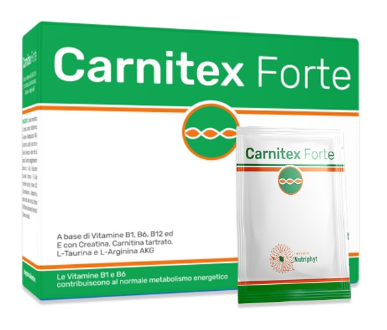 CARNITEX FORTE 20 BUSTINE 100 G - goldeneffe.it