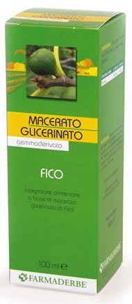 MACERATO GLICERICO FICO GEMME FICUS CARICA 100 ML - goldeneffe.it