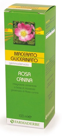 MACERATO GLICERICO ROSA CANINA 100 ML - goldeneffe.it