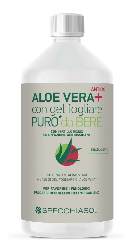SUCCO ALOEVERA+ ALOE/MIRTILLO ROSSO 1 LITRO - goldeneffe.it