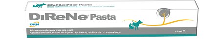 DIRENE PASTA 15 ML - goldeneffe.it