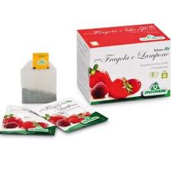 INFUSO BIO FRAGOLA E LAMPONE 20 FILTRI - goldeneffe.it