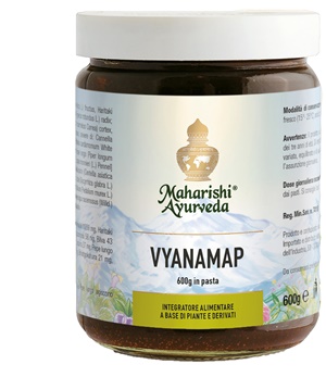 VYANAMAP PASTA 600 G - goldeneffe.it