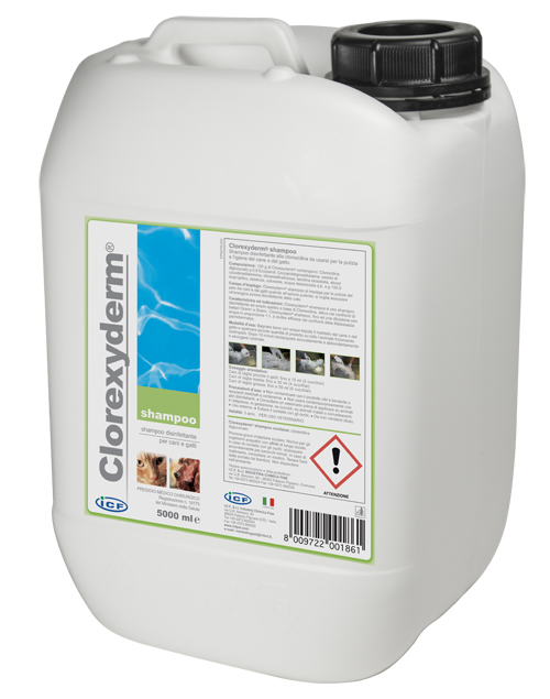 CLOREXYDERM SHAMPOO 5 LITRI - goldeneffe.it