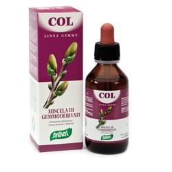 ZEFIRUS COL LINEA GEMME - goldeneffe.it