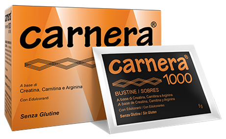 CARNERA 1000 18 BUSTINE - goldeneffe.it
