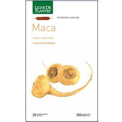 MACA BIO 20 AMPOLLE BEVIBILI DA 15 ML - goldeneffe.it