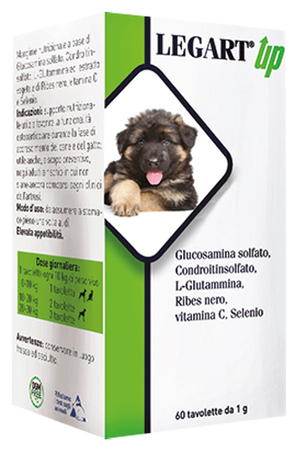 LEGART UP 60 COMPRESSE DA 1 G - goldeneffe.it