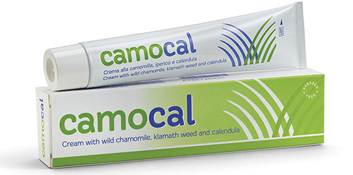 CREMA VEGETALE PER LE AFFEZIONI ANALI CAMOCAL 50 ML - goldeneffe.it