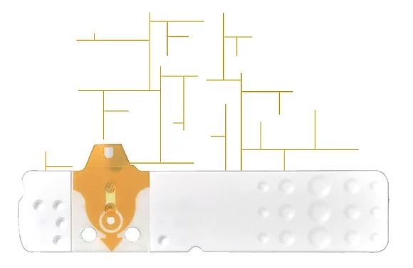 STRISCE MISURAZIONE GLICEMIA LINEA D ORO 25 PEZZI - goldeneffe.it