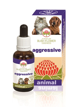 AGGRESSIVE 30 ML - goldeneffe.it