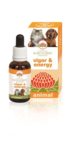 VIGOR & ENERGY 30 ML - goldeneffe.it