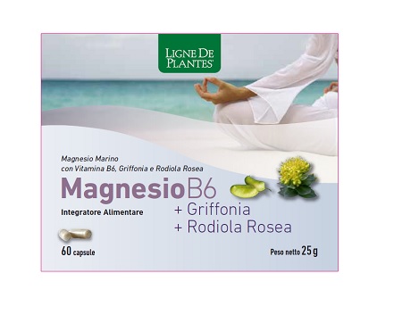 MAGNESIO B6 + GRIFFONIA + RODIOLA 60 CAPSULE - goldeneffe.it