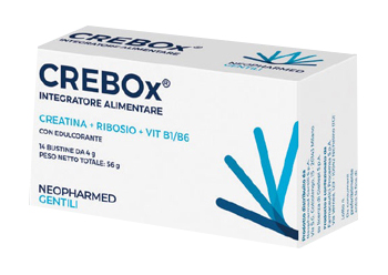 CREBOX 14 BUSTINE - goldeneffe.it