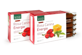 ROSA CANINA ENERGIE BIOLOGICO 10 AMPOLLE BEVIBILI DA 10 ML - goldeneffe.it