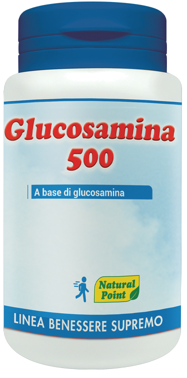 GLUCOSAMINA 500 100 CAPSULE - goldeneffe.it