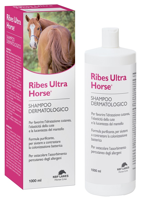 RIBES HORSE ULTRA SHAMPOO DERMATOLOGICO 1 LITRO - goldeneffe.it