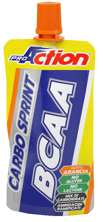 PROACTION CARBO SPRINT ENDURANCE BCAA ALL'ARANCIA 50 ML - goldeneffe.it