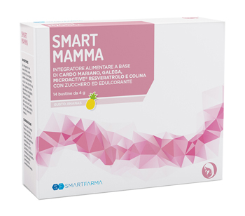 SMART MAMMA 14 BUSTINE GUSTO ANANAS - goldeneffe.it