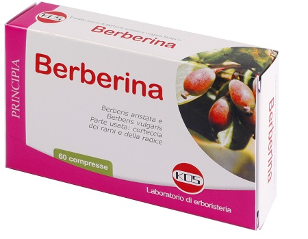 BERBERINA ESTRATTO SECCO 60 COMPRESSE - goldeneffe.it