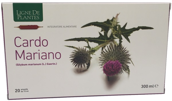 CARDO MARIANO 20 AMPOLLE BEVIBILI DA 15 ML - goldeneffe.it