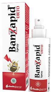 BANZAPID SPRAY TRATTAMENTO 100 ML - goldeneffe.it