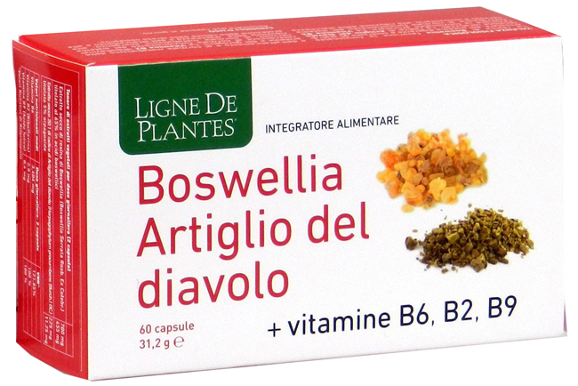 BOSWELLIA ARTIGLIO DIAVOLO VITAMINE B2 B6 B9 60 CAPSULE - goldeneffe.it
