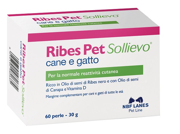 RIBES PET SOLLIEVO BLISTER 60 PERLE - goldeneffe.it