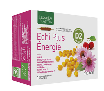 ECHI PLUS ENERGIE 10 AMPOLLE DA 10 ML - goldeneffe.it