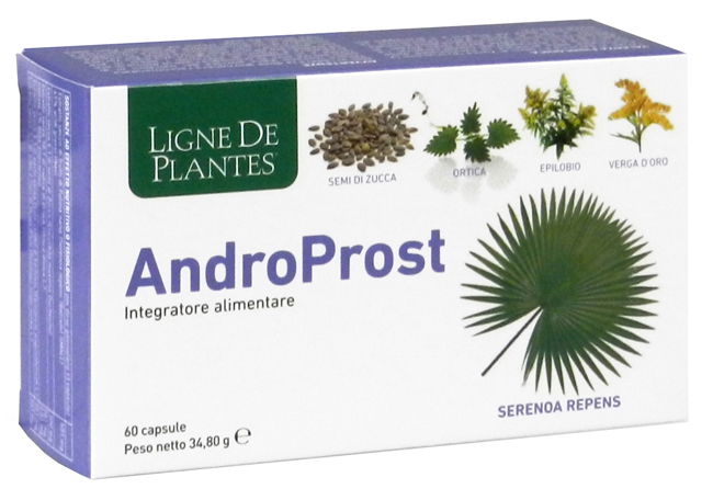 ANDROPROST 60 CAPSULE - goldeneffe.it