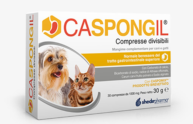 CASPONGIL 30 COMPRESSE DIVISIBILI - goldeneffe.it