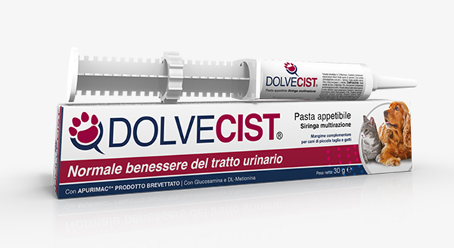 DOLVECIST PASTA SIRINGA 30 G - goldeneffe.it