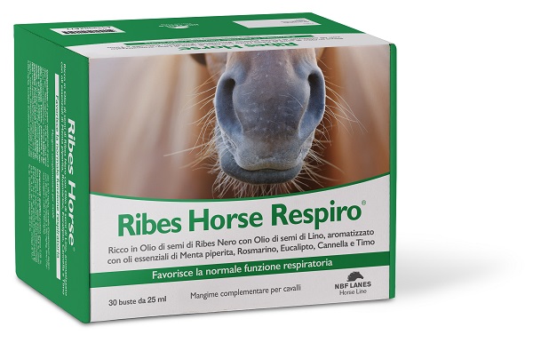 RIBES HORSE RESPIRO 30 BUSTE - goldeneffe.it
