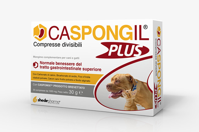 CASPONGIL PLUS 30 COMPRESSE - goldeneffe.it
