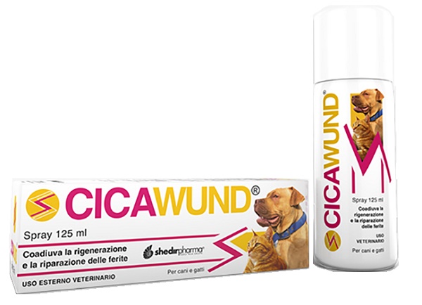 CICAWUND SPRAY 125 ML - goldeneffe.it