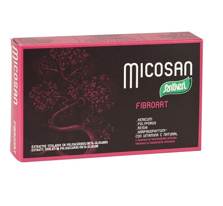 MICOXAN FIBROART 40 CAPSULE - goldeneffe.it