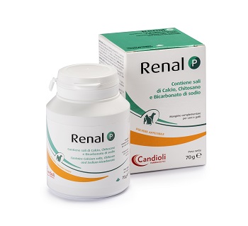 RENAL P MANGIME COMPLEMENTARE PER CANI E GATTI BARATTOLO 70 G - goldeneffe.it