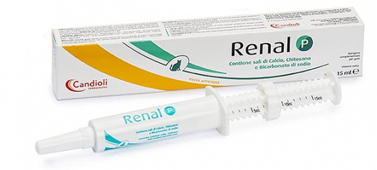 RENAL P PASTA SIRINGA DOSATRICE 15 ML - goldeneffe.it