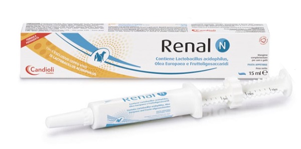RENAL N PASTA SIRINGA DOSATRICE 15 ML - goldeneffe.it