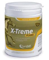 X-TREME FLAME POLVERE BARATTOLO 450 G - goldeneffe.it