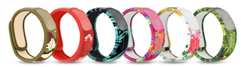 PARAKITO EFAS BRACCIALETTO GRAFFIC JUNGLE PLUS - goldeneffe.it