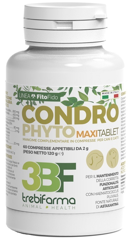 CONDROPHYTO 60 COMPRESSE 2 G - goldeneffe.it
