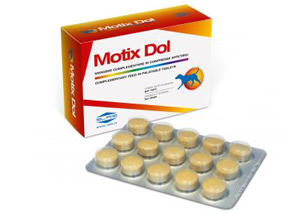 MOTIX DOL 60 COMPRESSE 48 G - goldeneffe.it