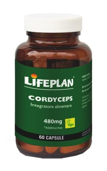 CORDYCEPS 60 CAPSULE - goldeneffe.it