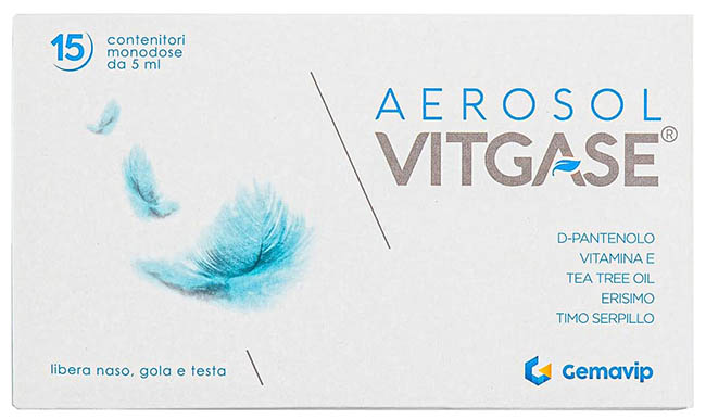 VITGASE AEROSOL 15 FLACONCINI 5 ML - goldeneffe.it