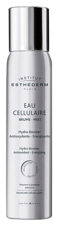 INSTI EAU CELLULAIRE BRUME 100 ML - goldeneffe.it