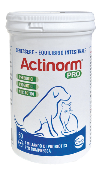 ACTINORM PRO FLACONE 60 COMPRESSE - goldeneffe.it